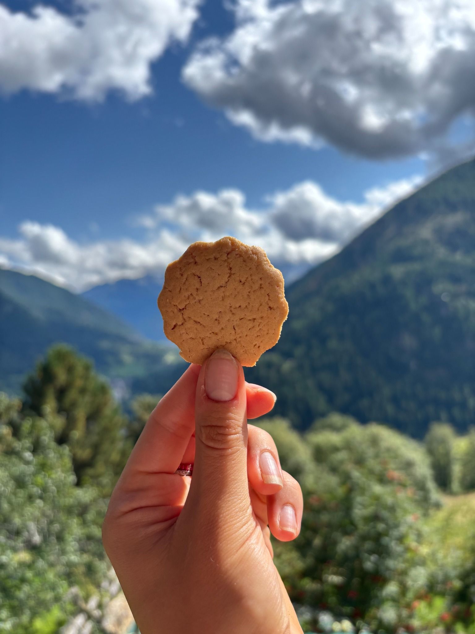 Biscotti Arancia e Cannella artigianali
