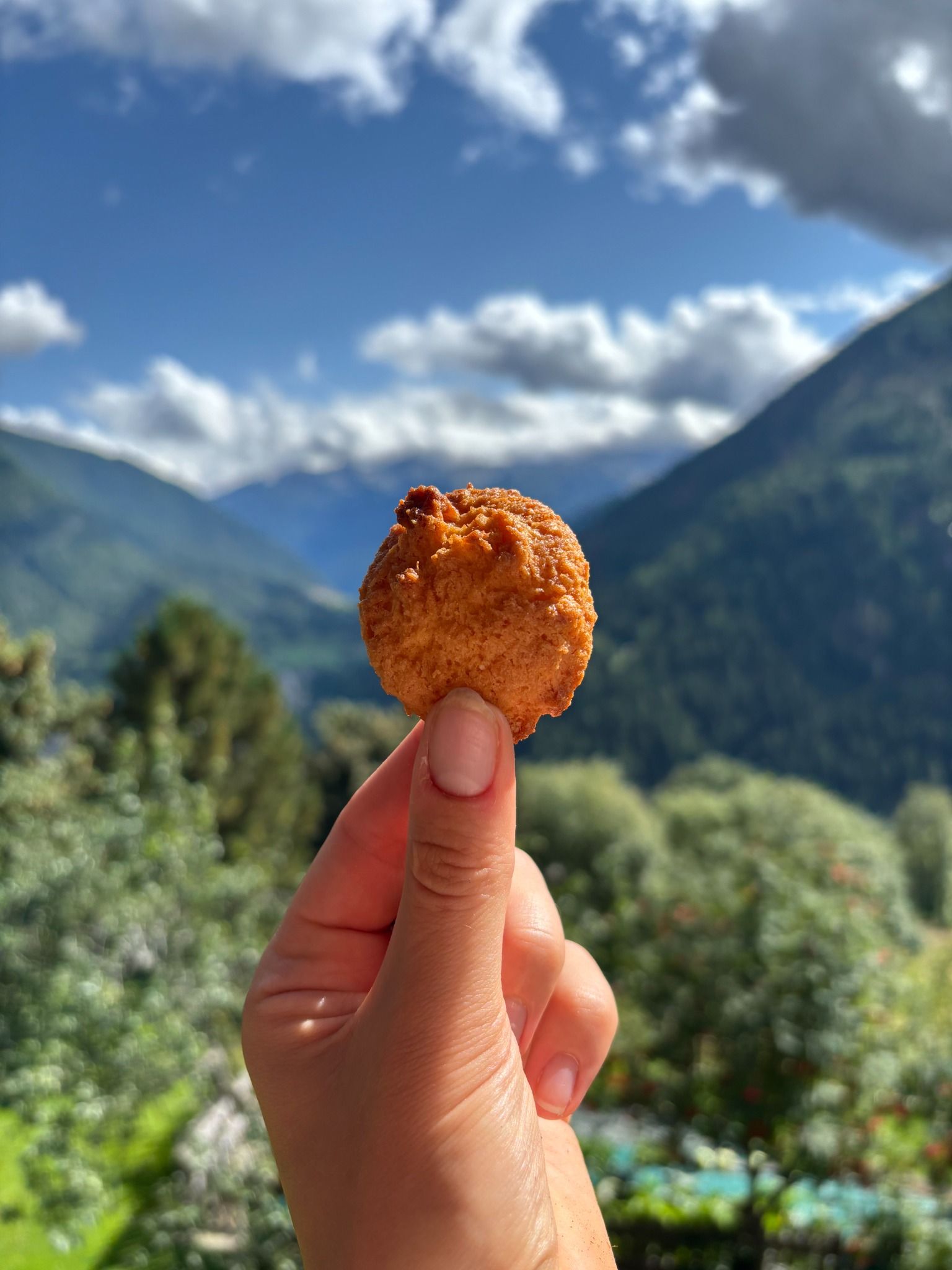 Biscotti al Cocco artigianali